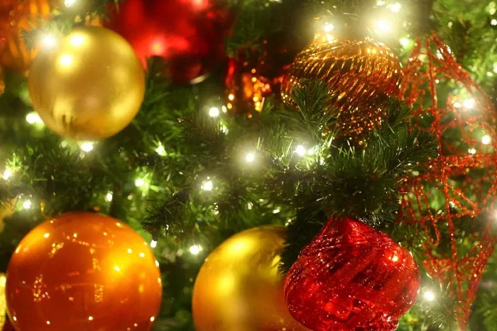 Gold, orange, and red ornaments hang among lit pine branches on a Christmas tree.