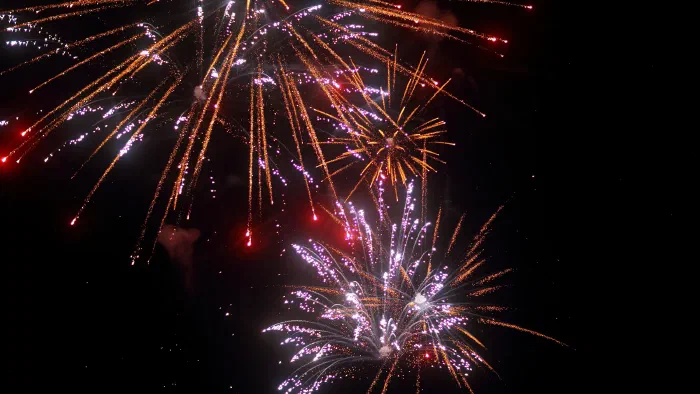 Fireworks burst in orange and violet streams of sparks against a black night sky.