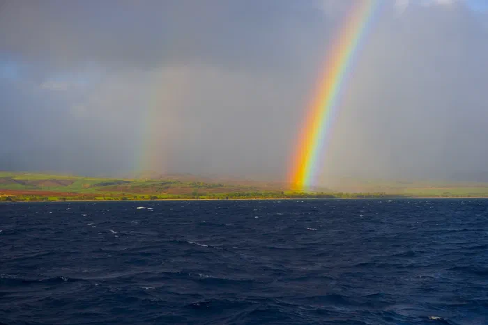 Two rainbows drop from a storm sky onto green coastal fields across dark whitecapped water.