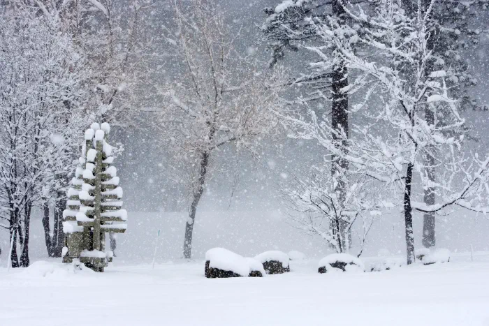 Snow falls thickly on bare trees, drifted rocks, and a wooden sculpture in a quiet park.